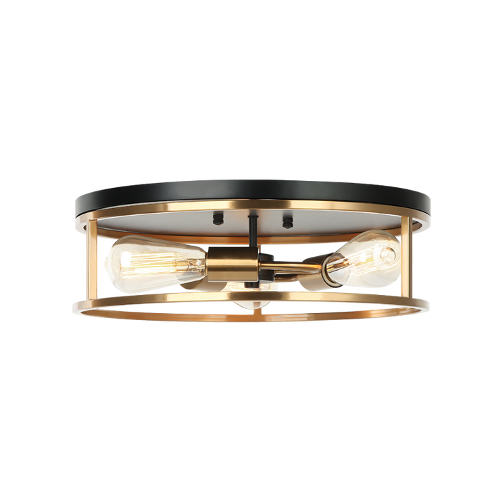 Steel Open Air Two Tone Color Round Frame Flush Mount