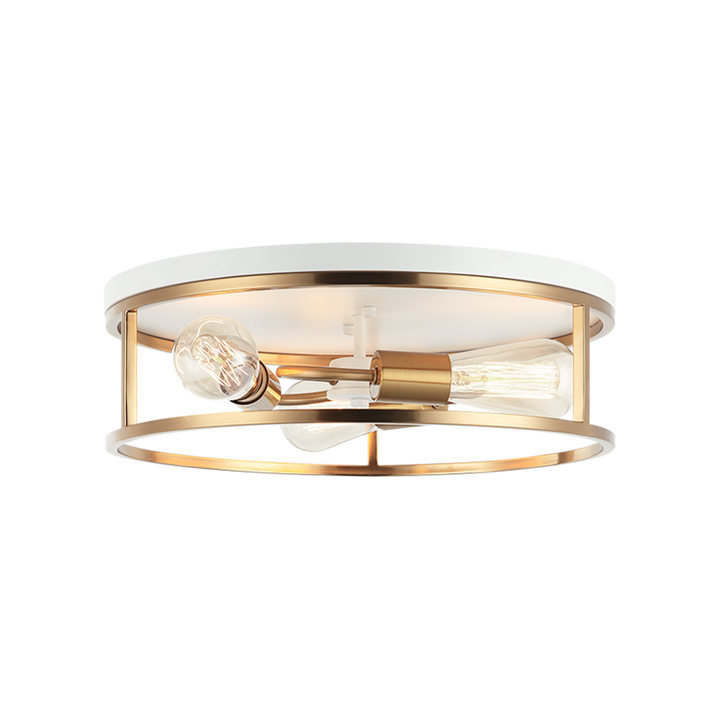 Steel Open Air Two Tone Color Round Frame Flush Mount