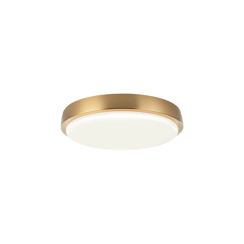 Steel Frame with White Acrylic Diffuser Flush Mount