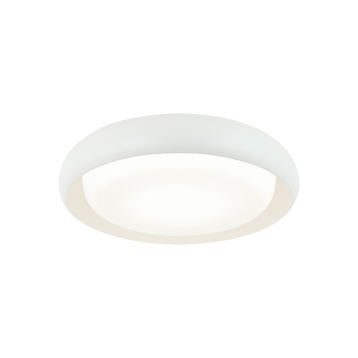 LED Curved Metal Frame with White Acrylic Diffuser Flush Mount
