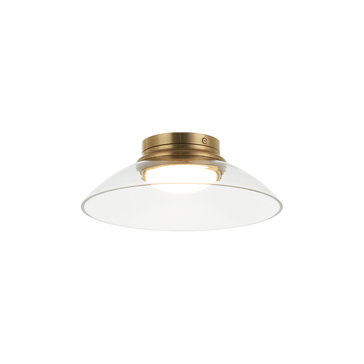 LED Steel Frame with Glass Shade Semi Flush Mount