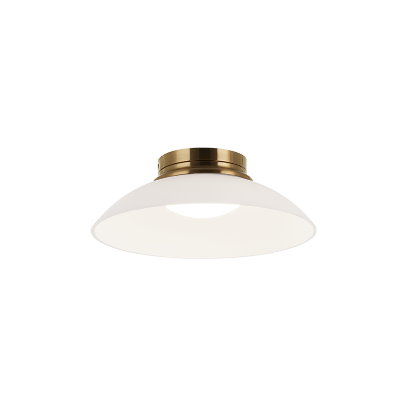 LED Steel Frame with Glass Shade Semi Flush Mount