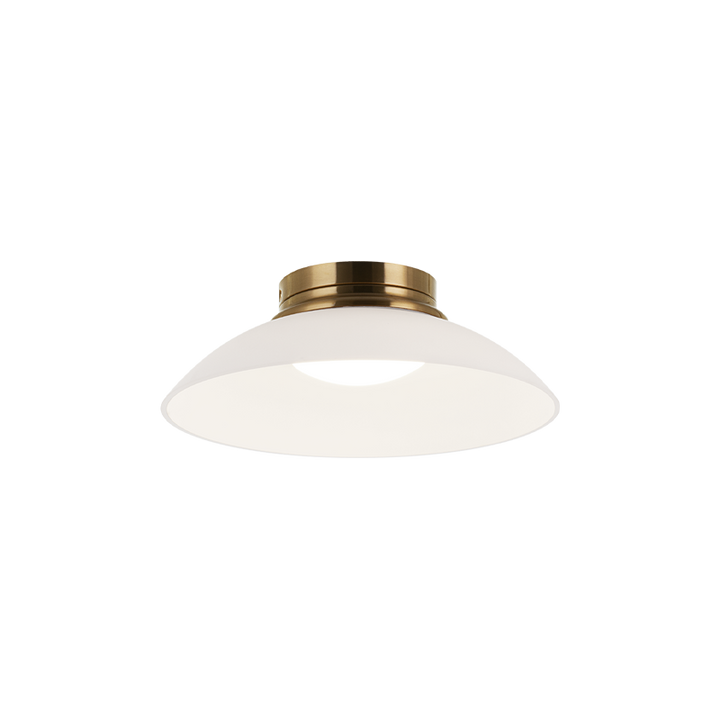 LED Steel Frame with Glass Shade Semi Flush Mount