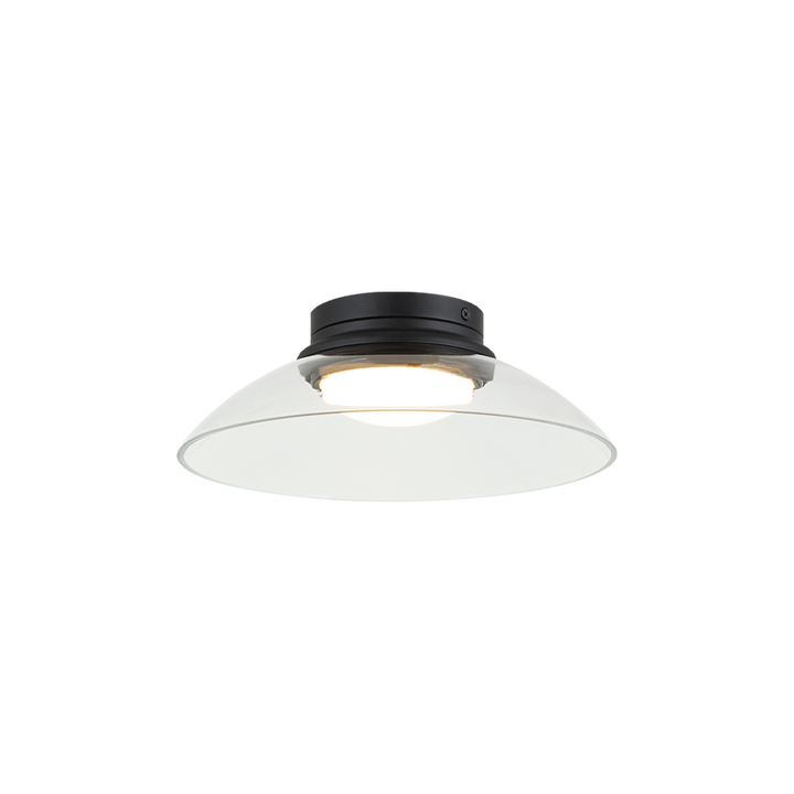 LED Steel Frame with Glass Shade Semi Flush Mount
