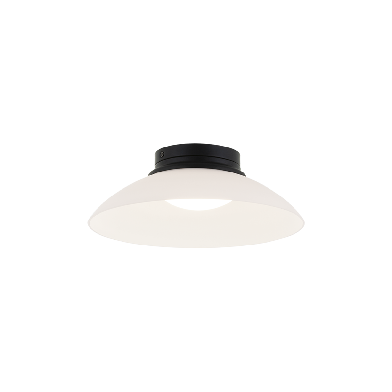 LED Steel Frame with Glass Shade Semi Flush Mount