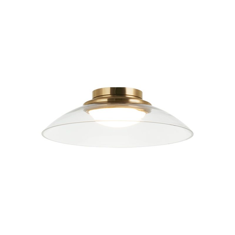 LED Steel Frame with Glass Shade Semi Flush Mount