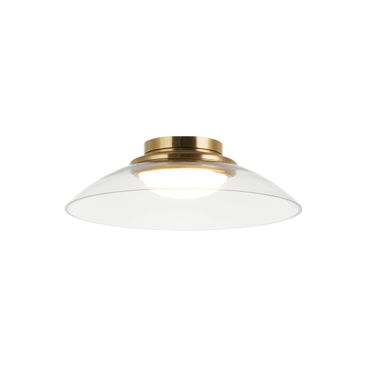 LED Steel Frame with Glass Shade Semi Flush Mount