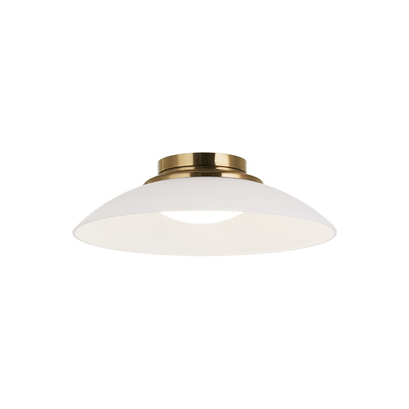 LED Steel Frame with Glass Shade Semi Flush Mount