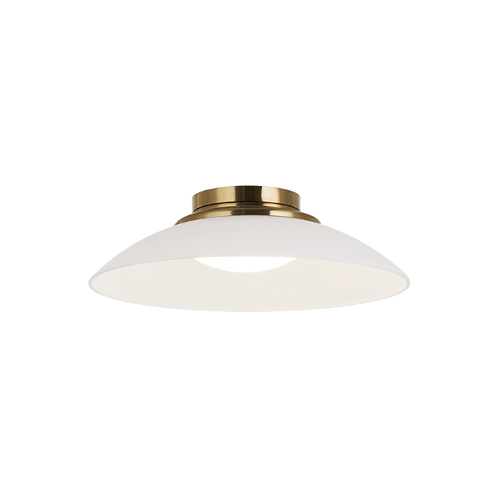 LED Steel Frame with Glass Shade Semi Flush Mount