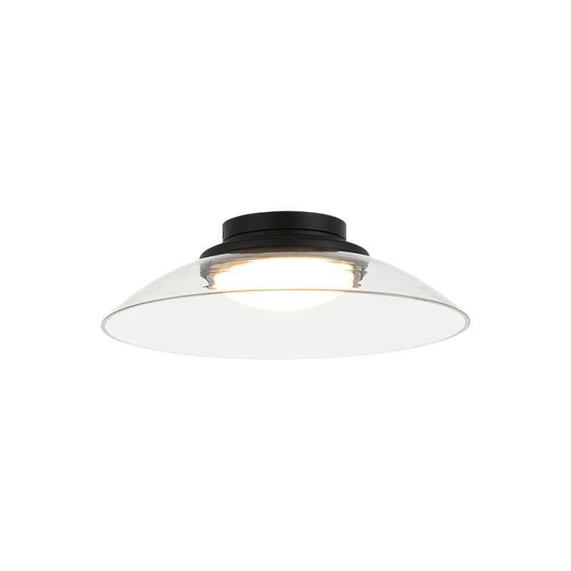 LED Steel Frame with Glass Shade Semi Flush Mount