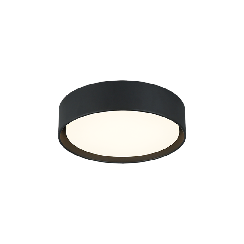 Steel Frame with White Acrylic Diffuser Flush Mount