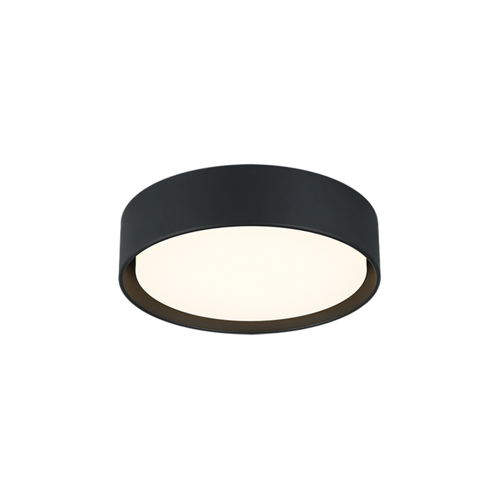 Steel Frame with White Acrylic Diffuser Flush Mount