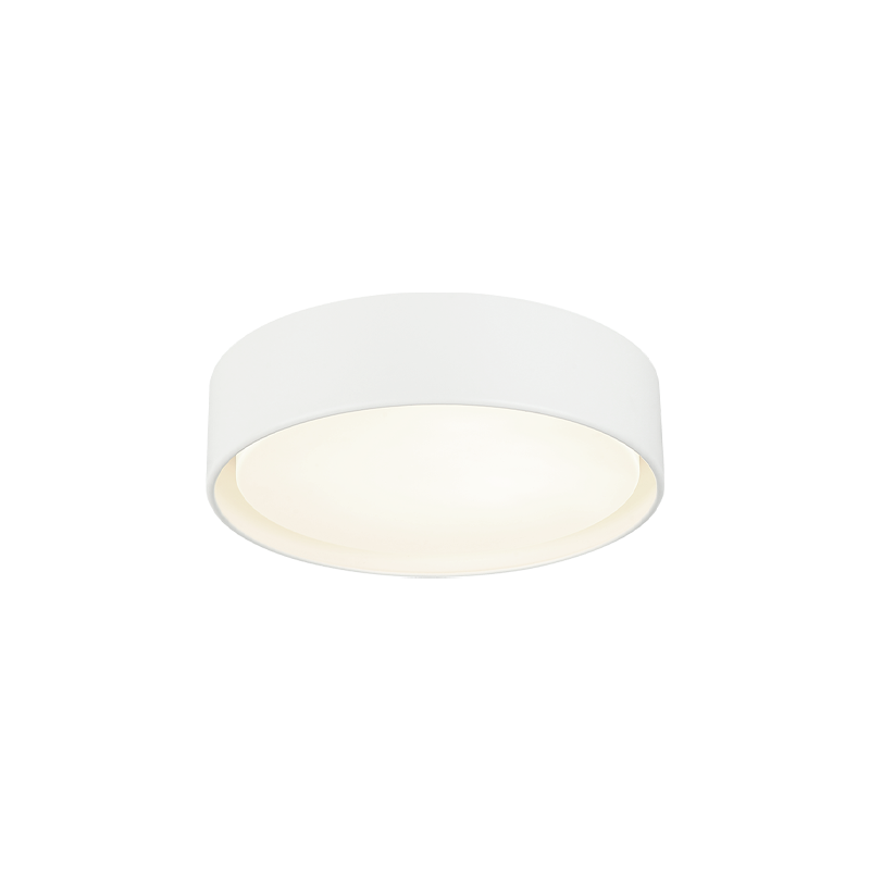 Steel Frame with White Acrylic Diffuser Flush Mount
