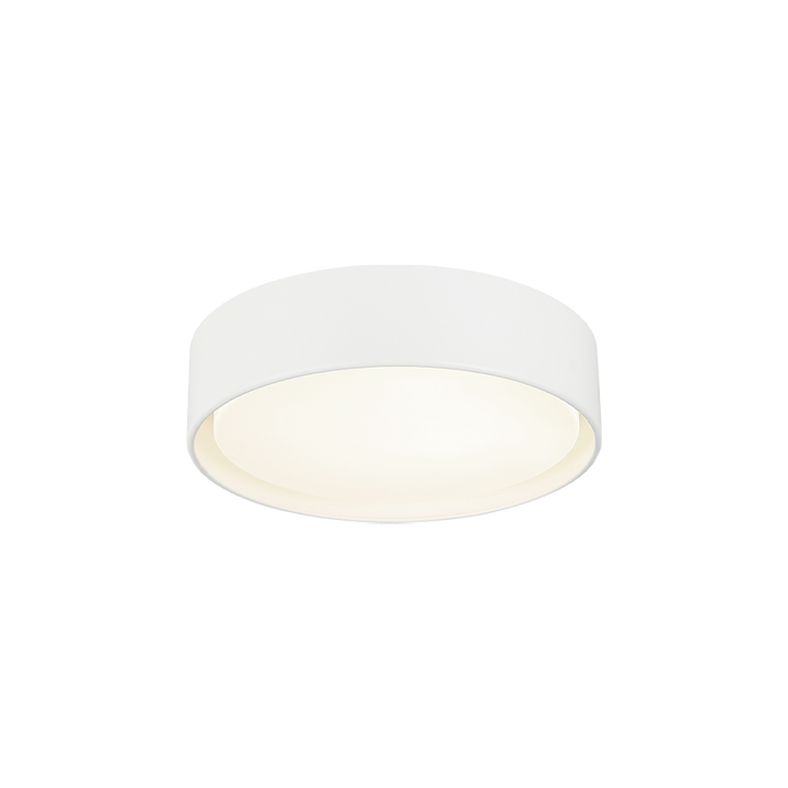 Steel Frame with White Acrylic Diffuser Flush Mount