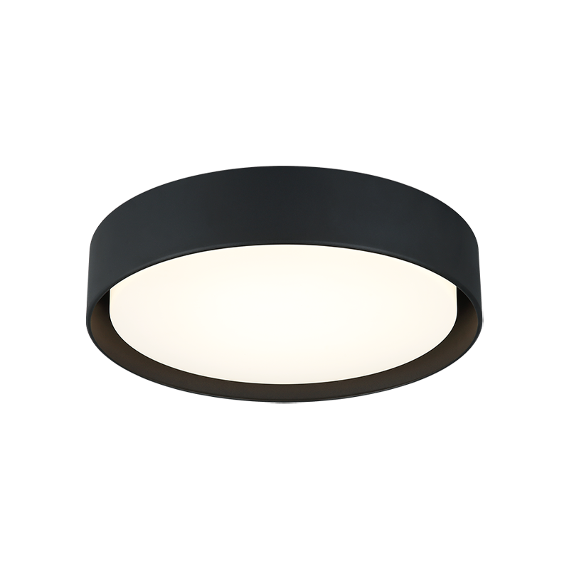 Steel Frame with White Acrylic Diffuser Flush Mount