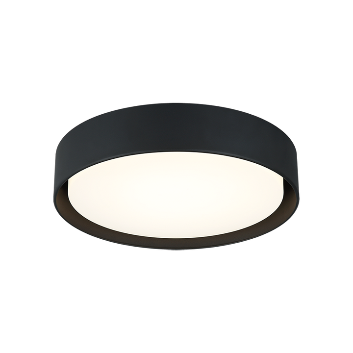 Steel Frame with White Acrylic Diffuser Flush Mount