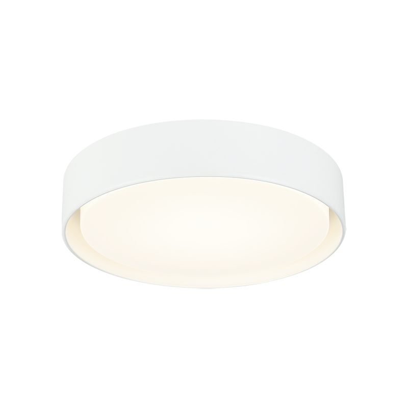 Steel Frame with White Acrylic Diffuser Flush Mount