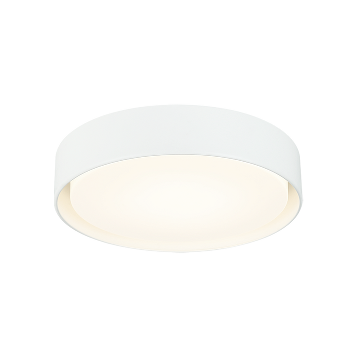 Steel Frame with White Acrylic Diffuser Flush Mount