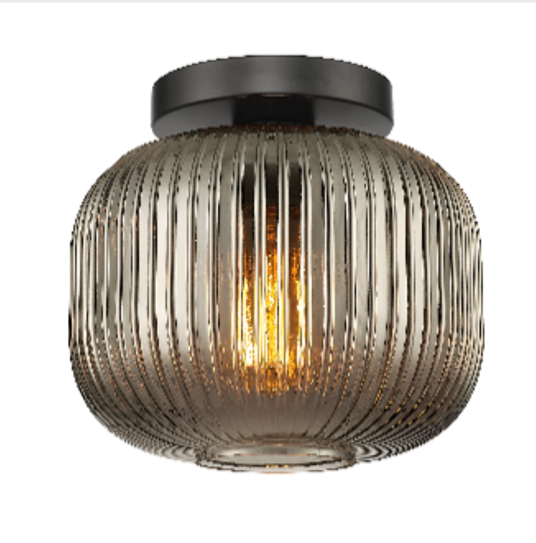Eos - 1 Light Flush-Mount &amp; Pendant with Clear or Smoked Glass