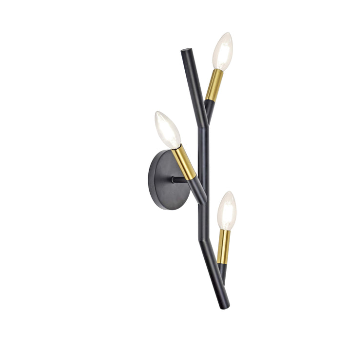 Morgan 3 Light Wall Sconce in Matte Black & Aged Brass by Dainolite
