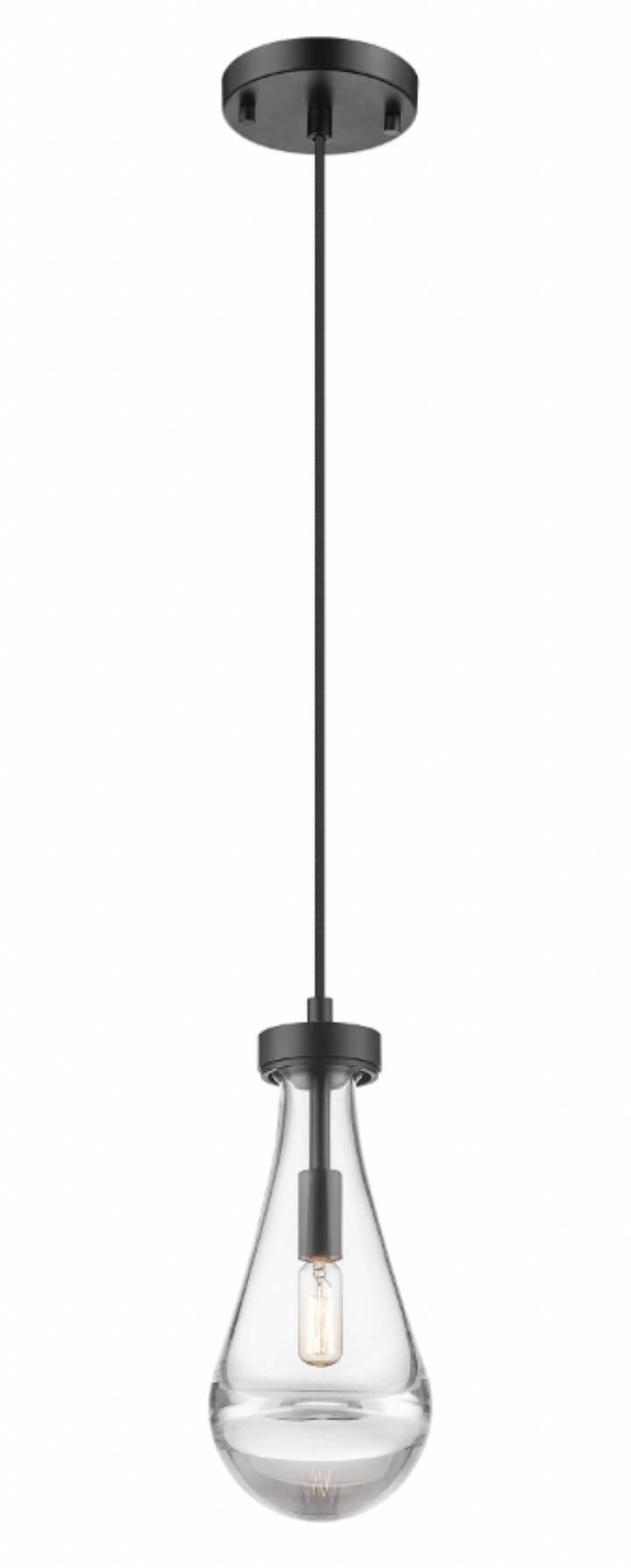 Newton - 1 Light Mini-Pendant in Matte Black by Moderno Lighting
