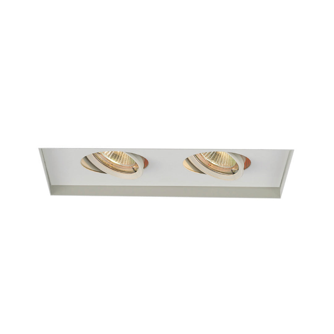 Low Voltage Multiple Spots 2 Light Trim by WAC Lighting