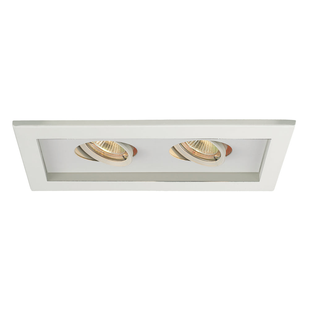 Low Voltage Multiple Spots 2 Light Trim by WAC Lighting - view 2