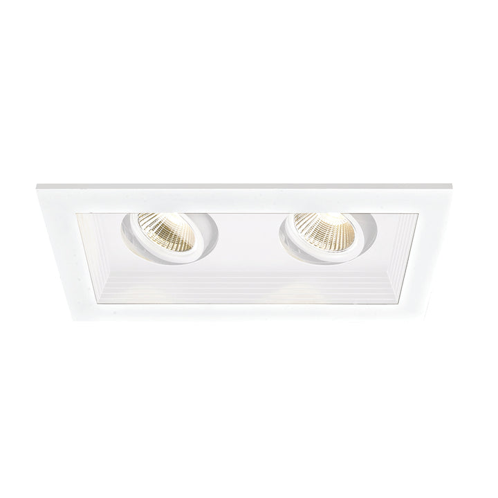Mini LED Multiple Spots 2 Light Remodel &amp; New Construction