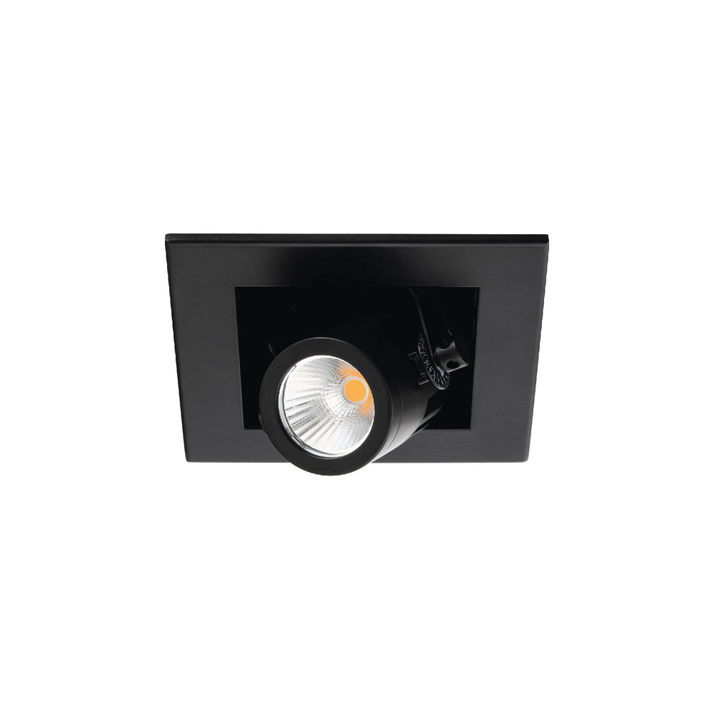 Precision Multiples - 4" Adjustable Spot 1 Light Trim in Black by WAC Lighting