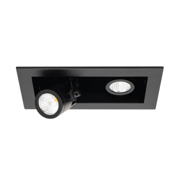 Precision Multiples - 4" Adjustable Spot 2 Light Trim