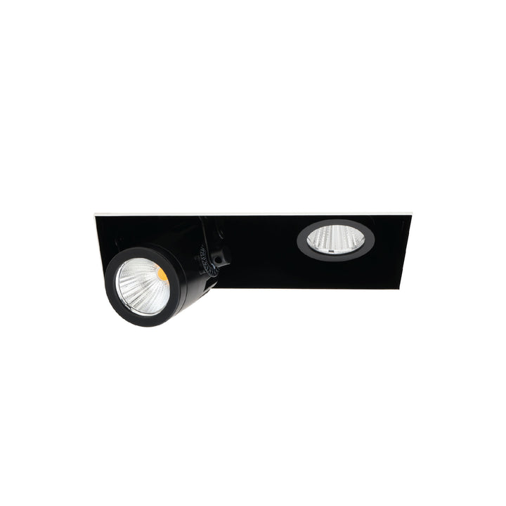 Precision Multiples - 4" Adjustable Spot 2 Light Trimless