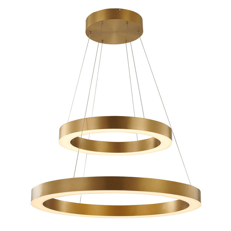 Stainless Steel Frame LED Light Fixture with Double Halo Ring in Gold by Bethel