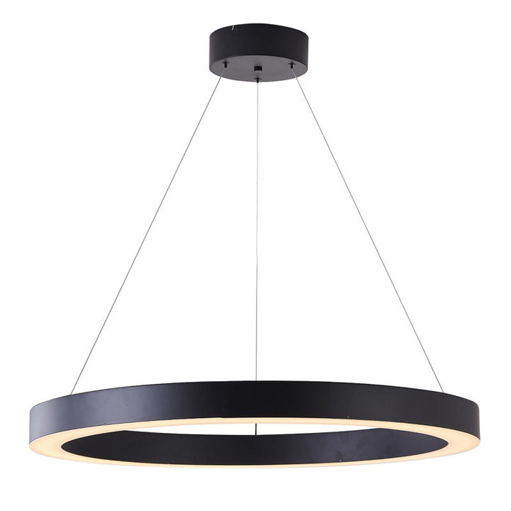 Halo Ring LED Light with Acrylic Diffuser in Matte Black by Bethel