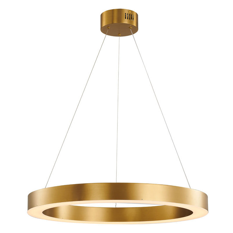 Halo Ring LED Light with Acrylic Diffuser in Antique Brass by Bethel