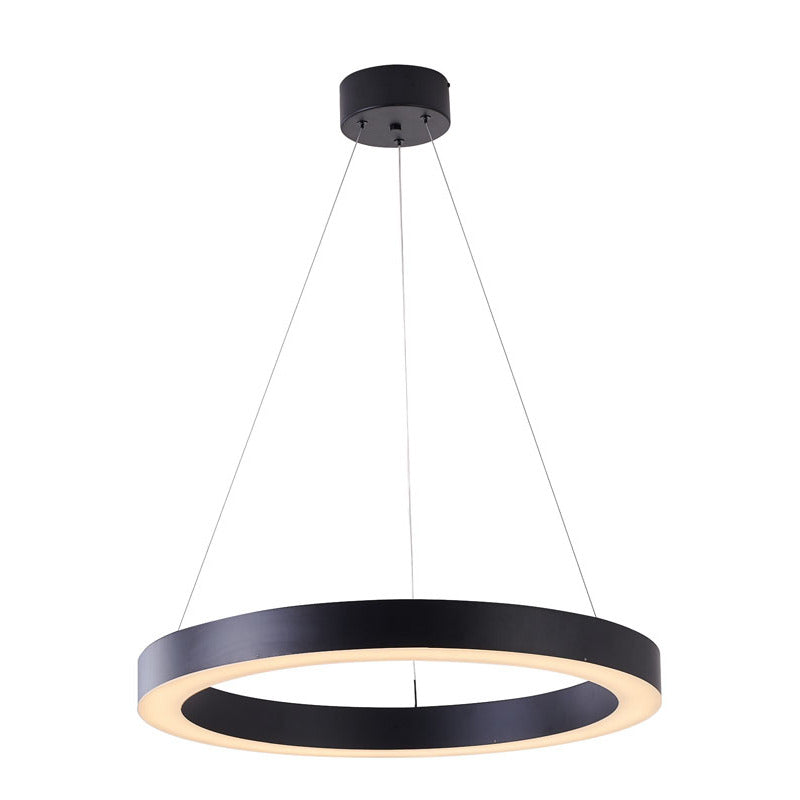 Halo Ring LED Light with Acrylic Diffuser in Matte Black by Bethel