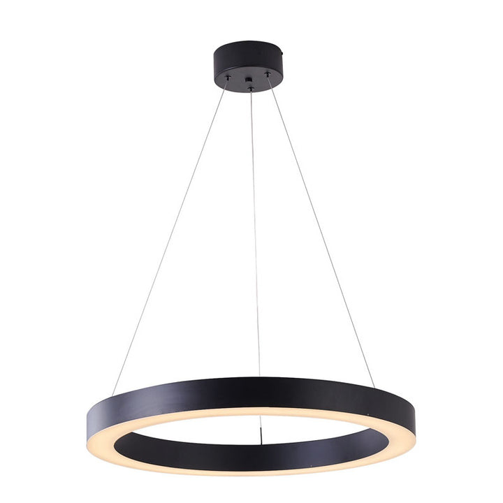 Halo Ring LED Light with Acrylic Diffuser in Matte Black by Bethel