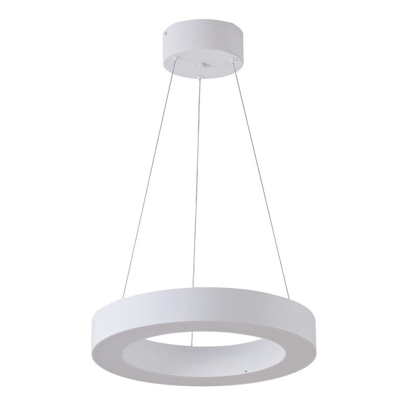 Halo Ring LED Light with Acrylic Diffuser by Bethel - view 20