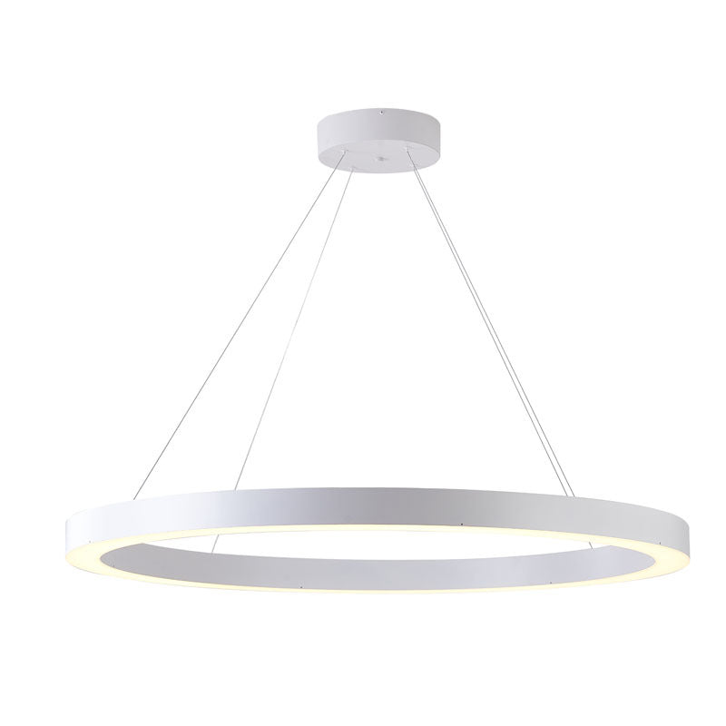 Halo Ring LED Light with Acrylic Diffuser in Matte White by Bethel
