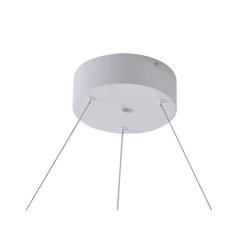 Halo Ring LED Light with Acrylic Diffuser by Bethel - view 109