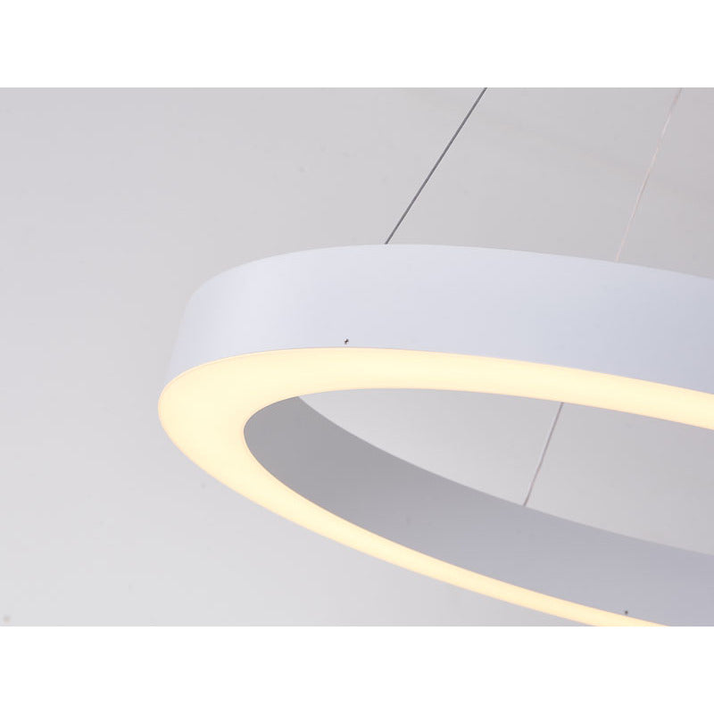 Halo Ring LED Light with Acrylic Diffuser by Bethel - view 112