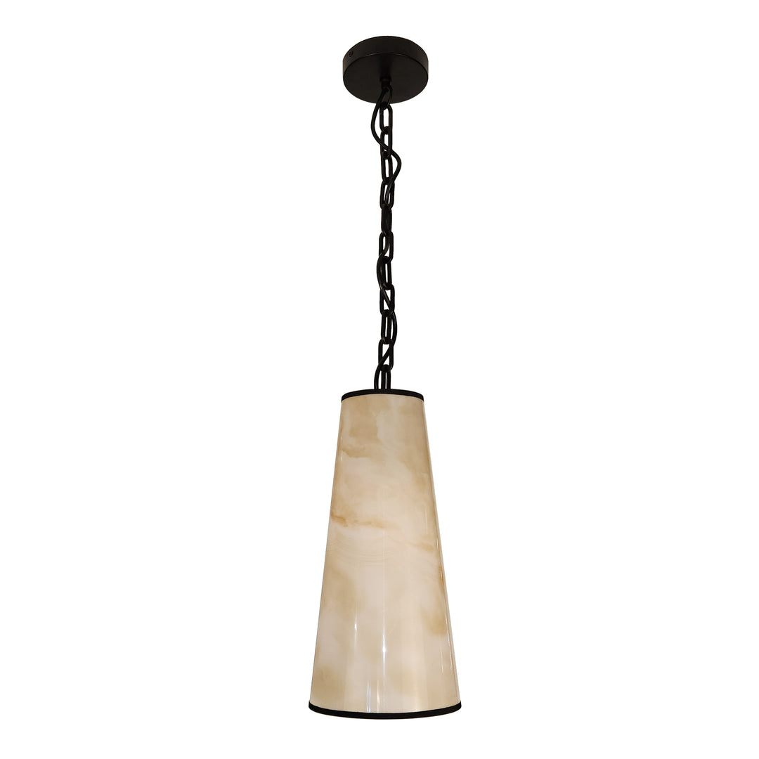 Nena 1 Light Incandescent Pendant in Matte Black by Dainolite