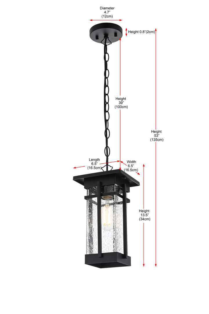 Livingston Outdoor Pendant by Elegant - view 9