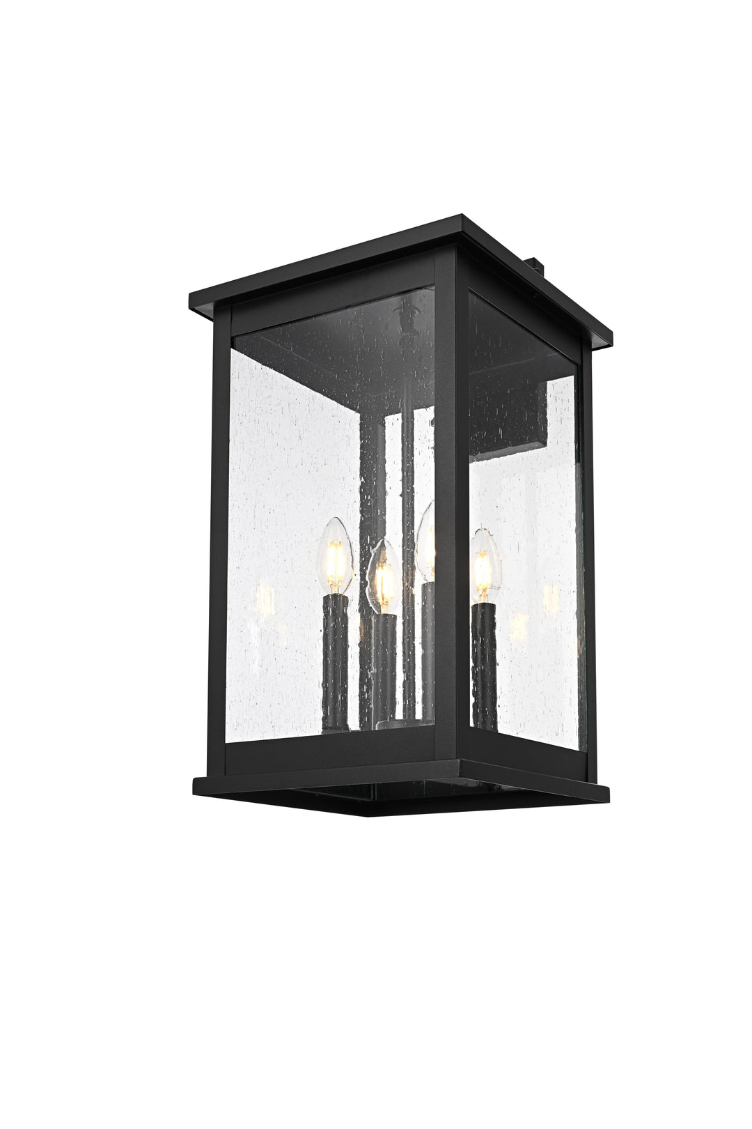 Ringgold Outdoor Wall Light by Elegant - view 19