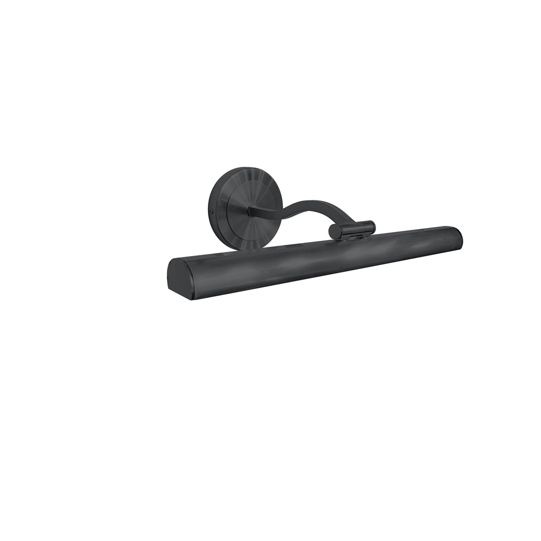 Reina 20W Picture Light in Matte Black by Dainolite