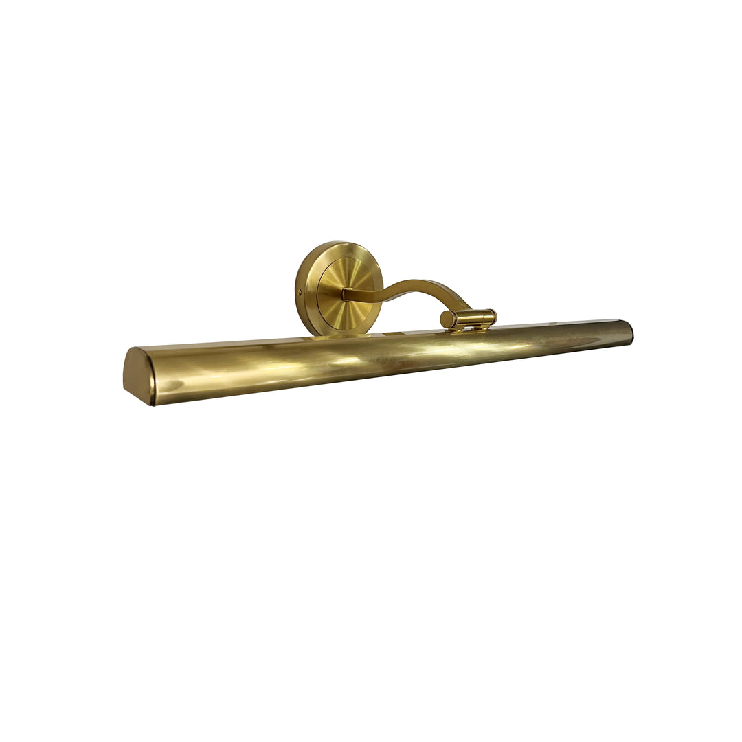 Reina 30W Picture Light in Aged Brass by Dainolite