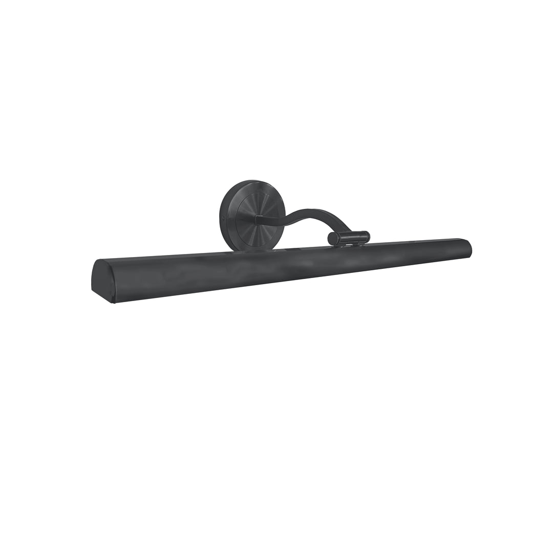 Reina 30W Picture Light in Matte Black by Dainolite