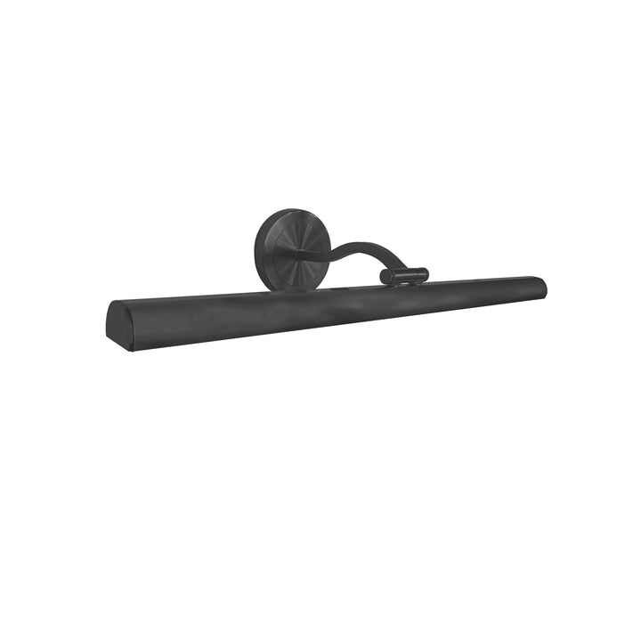 Reina 30W Picture Light in Matte Black by Dainolite