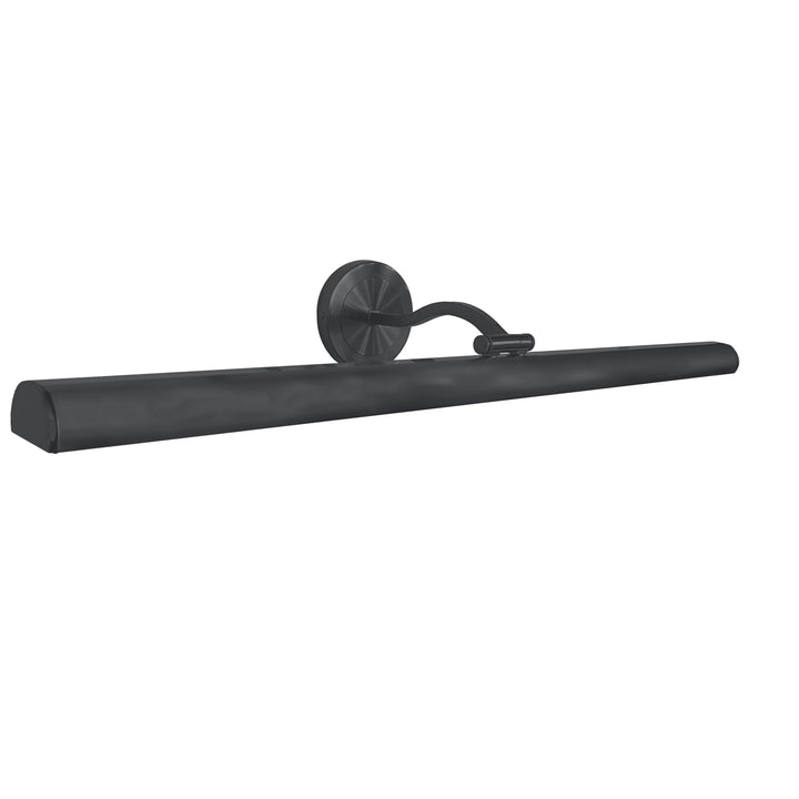 Reina 40W Picture Light in Matte Black by Dainolite
