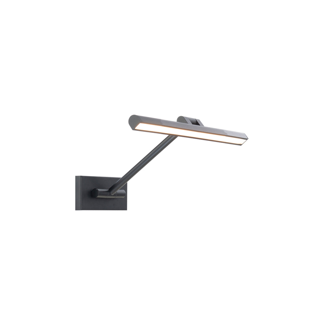 Reed Picture Light 3000K in Black by WAC Lighting