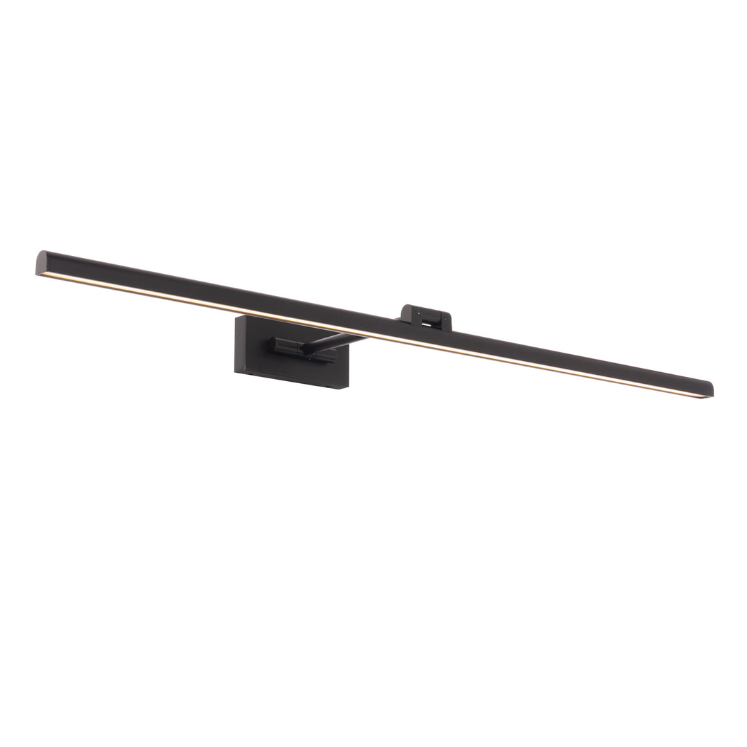 Reed Picture Light 3000K in Black by WAC Lighting